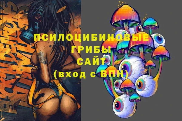 2c-b Дегтярск
