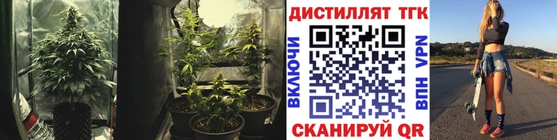 Дистиллят ТГК жижа  магазин продажи наркотиков  Армянск 